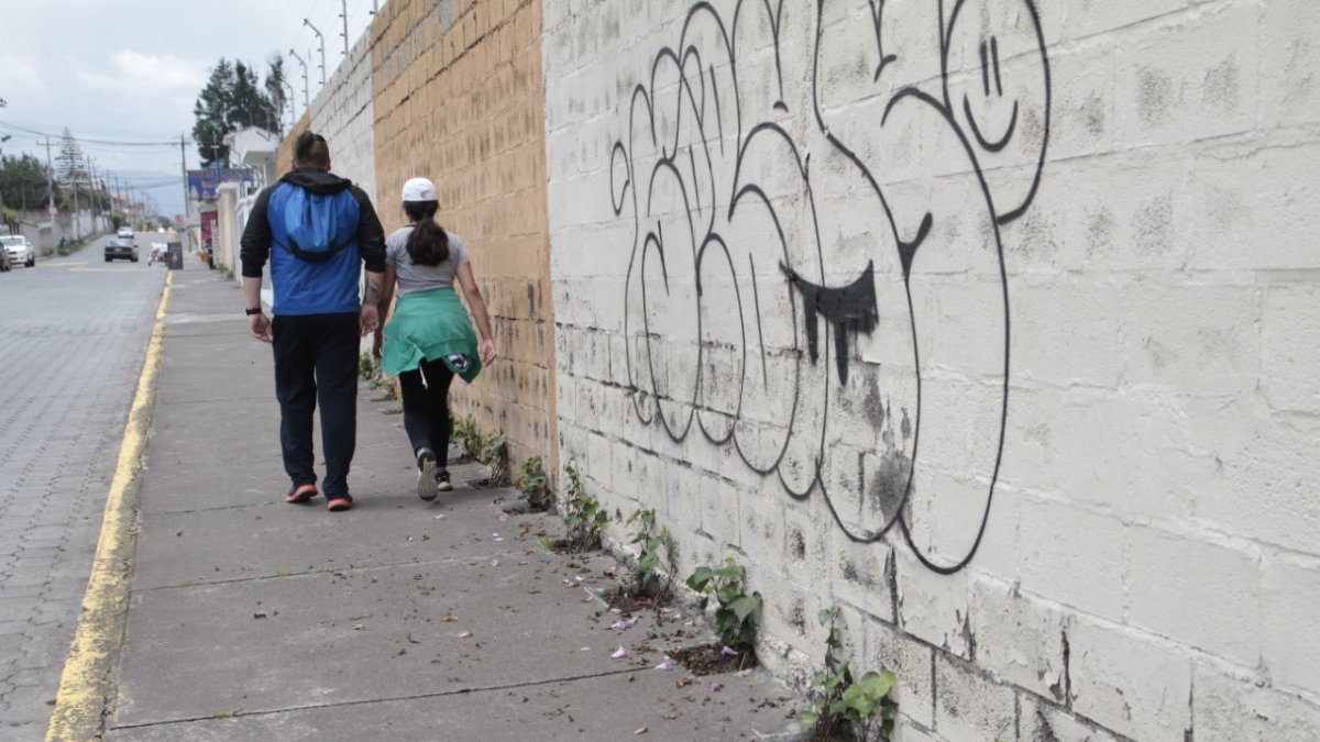 Remedio. Para evitar la proliferación de grafitis y otras suciedades en las paredes, siembran las plantas