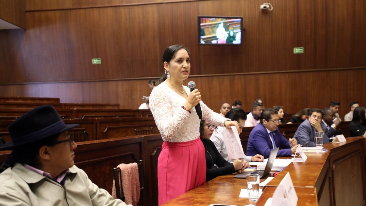 Mireya Pazmiño, una de las increpadas por Salvador Quishpe por suscribir el comunicado a nombre de Pachakutik.