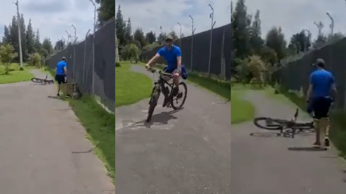 El hombre que ataca al perro argumentaba que lo hacía porque este habría agredido al suyo