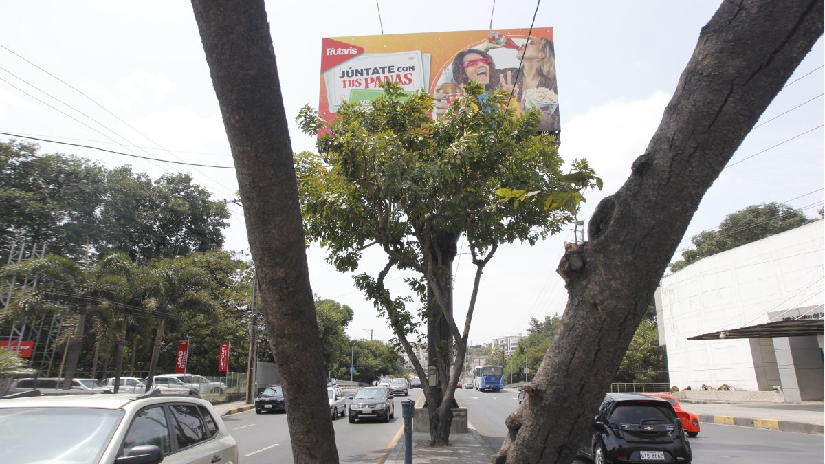 Mediante un censo, se conoció que existen  512 vallas en la urbe.