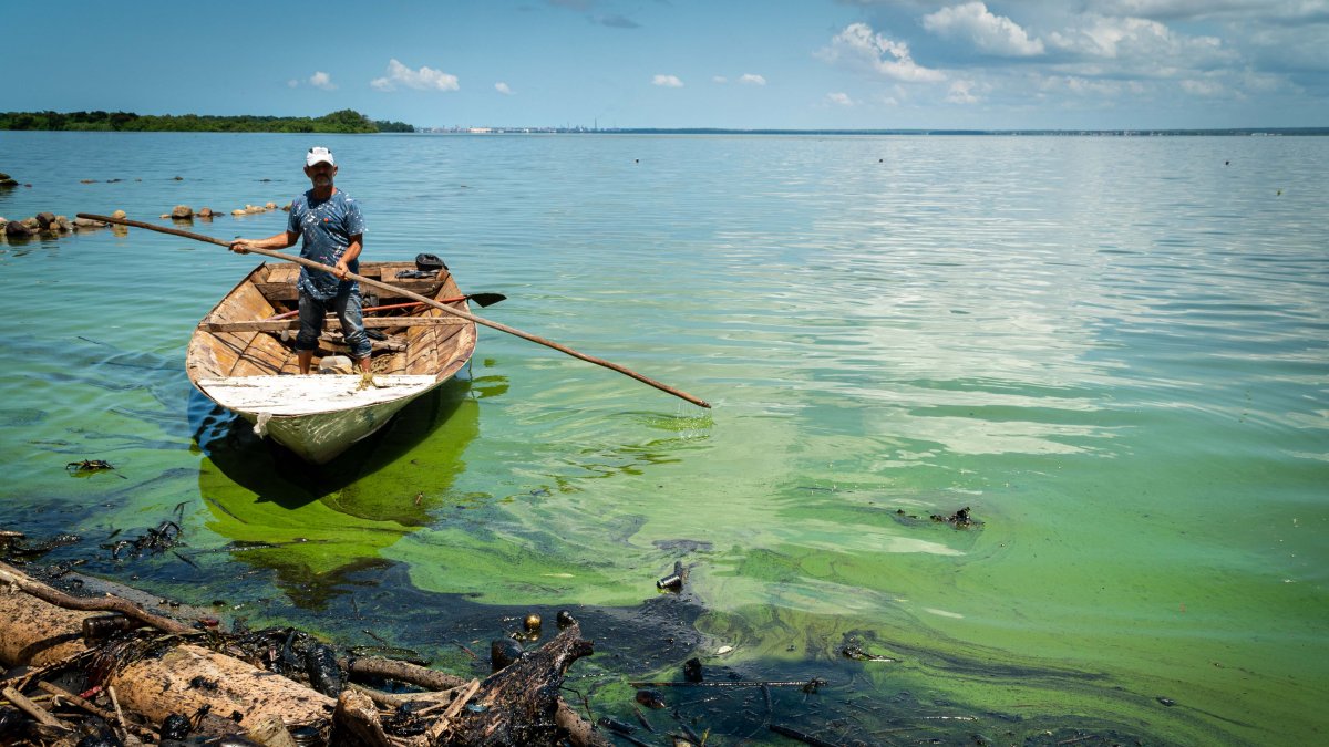 Fotografía de manchas de petroleo el 20 de octubre del 2022, en el Lago de Maracaibo (Venezuela).