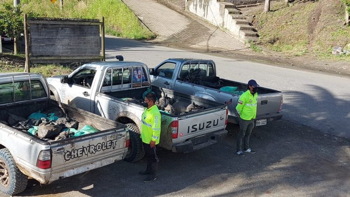 Imbabura. Uno de los operativos realizados por la Polcía, en 2021. Se hallaron tres camionetas con material mineralizado.