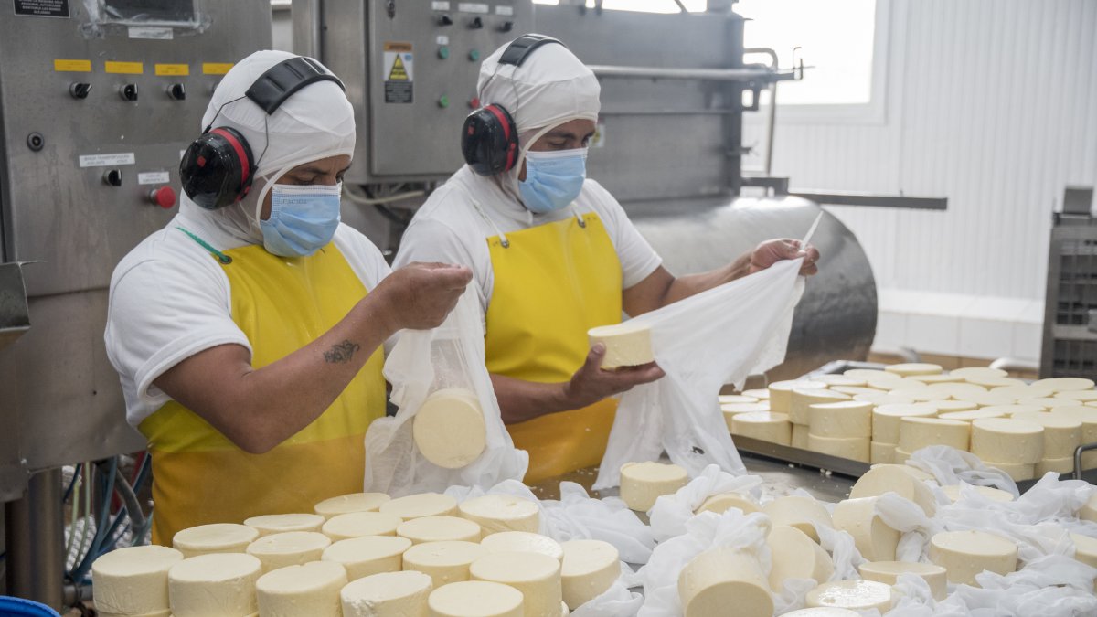 Alpina. La planta donde se elaboran los quesos de la marca Kiosko.