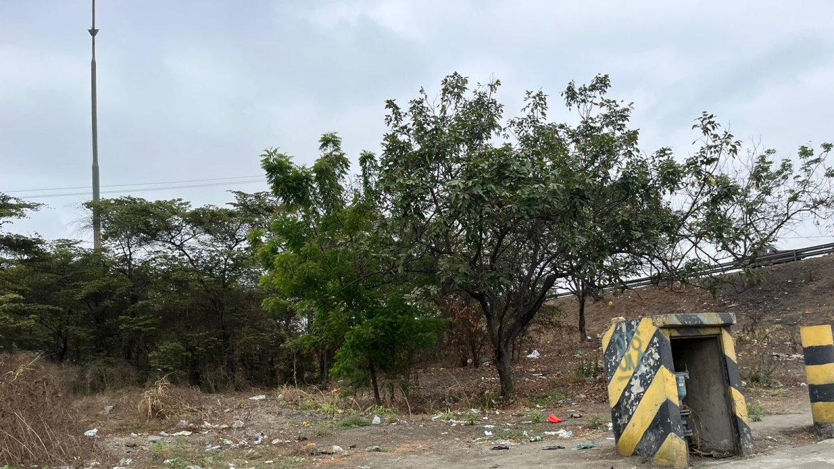 La basura de esta oreja víal se ha vuelto otro 'adorno', además de la vegetación que está presente.