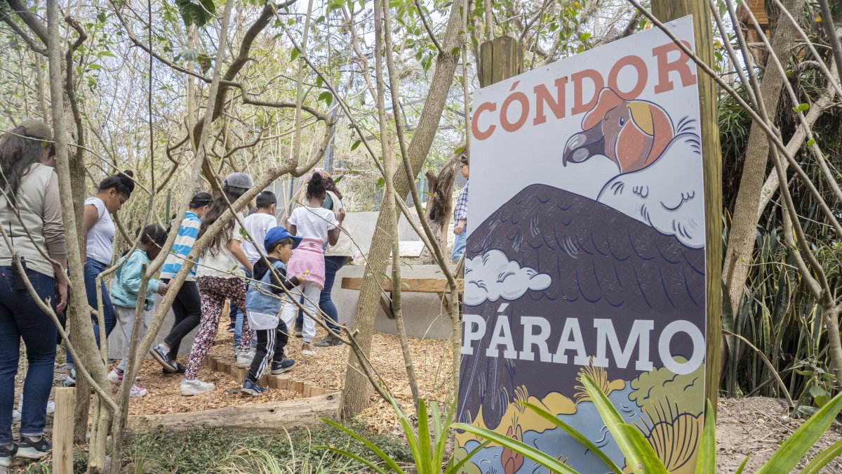 El nuevo espacio ofrece una experiencia educativa basada en el juego y en la estimulación sensorial.