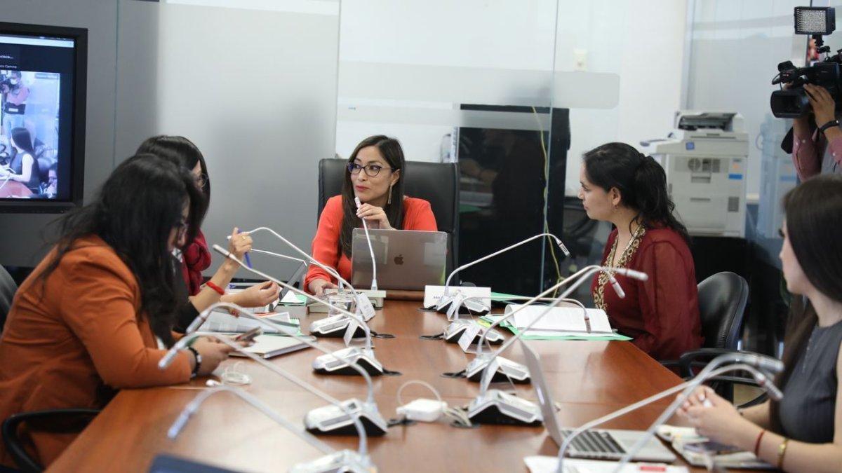 Las asambleístas tienen previsto entregar el informe el 1 de noviembre de 2022.