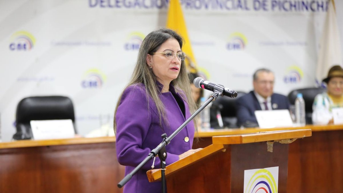 Nájera ha sido jueza suplente del Tribunal Contencioso Electoral (TCE) y asesora de organizaciones sociales y la Asamblea Nacional