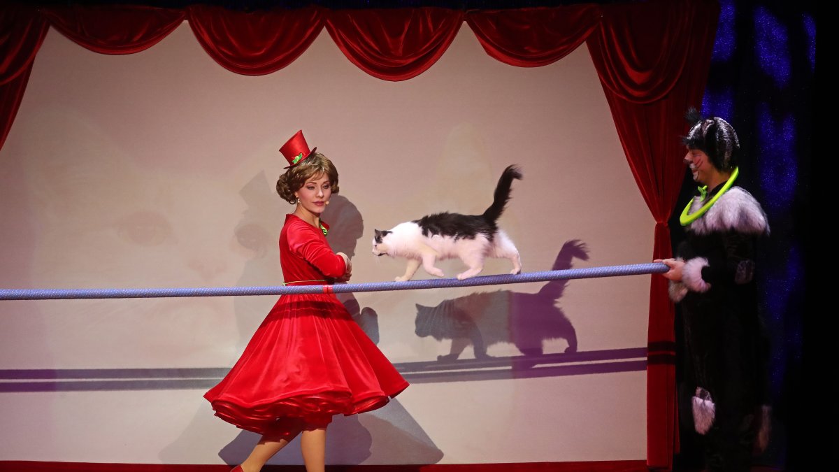 Moscú. Los actores humanos y gatunos, durante una reciente función.