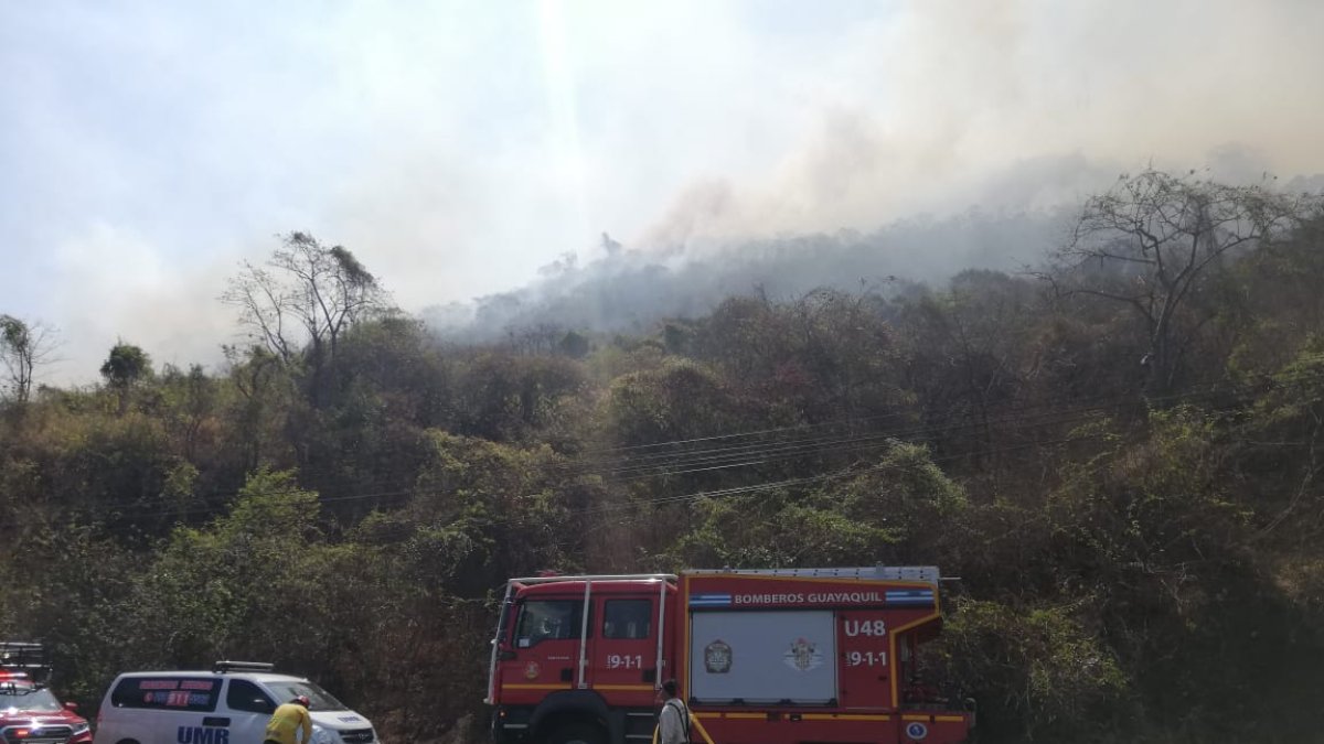 Unidades del Cuerpo de Bomberos se mantienen en el sitio.