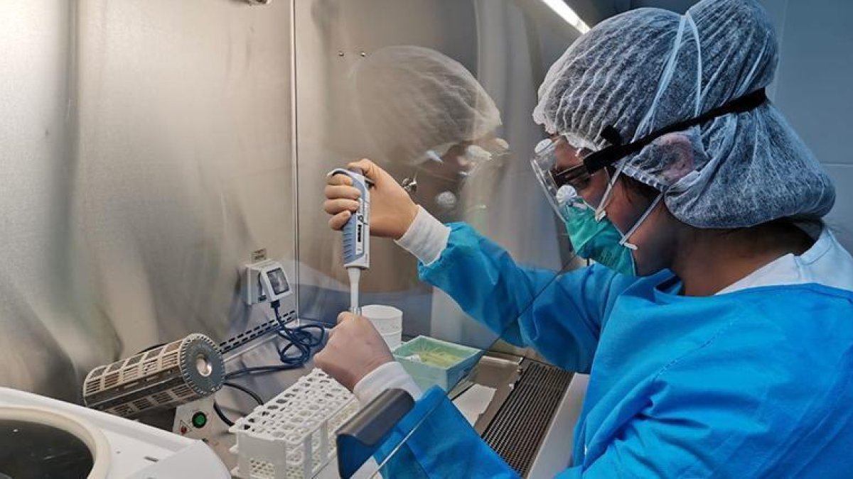 Industria.- Una persona trabajando en las investigaciones de Roche.