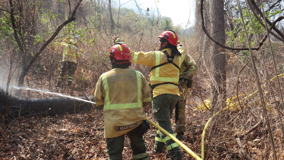 Durante más de nueve horas los bomberos trabajaron para sofocar el incendio forestal en Cerro Azul.