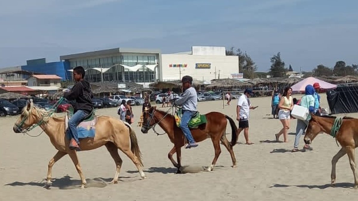 La ciudadanía exige que los caballos no sean utilizados para dar paseos en las playas. Denuncias que no son bien cuidados.