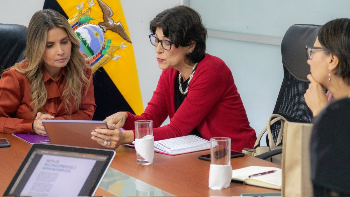 El pasado 01 de noviembre la Secretaria de Derechos Humanos, Paola Flores tuvo una reunión con Ana Elena Badilla, representante de Programa de las Naciones Unidas para el Desarrollo (PNUD) en Ecuador.
