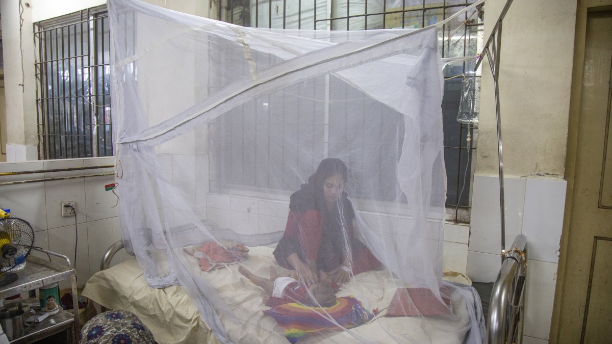 Pacientes bajo una mosquitera reciben tratamiento para el dengue en el Hospital Sir Salimullah Medical College de Dhaka, en Bangladesh, este 8 de noviembre.