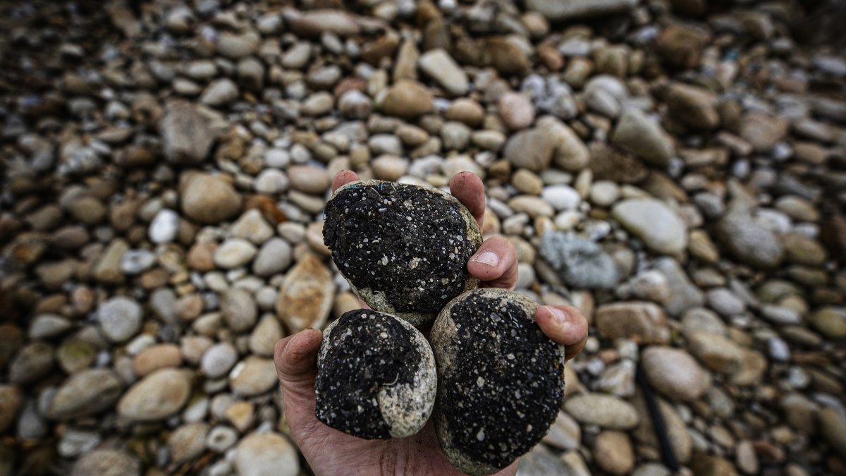Piedras manchadas de chapapote en el concello coruñés de Muxía, corazón de la Costa da Morte y epicentro del hundimiento del Prestige.  