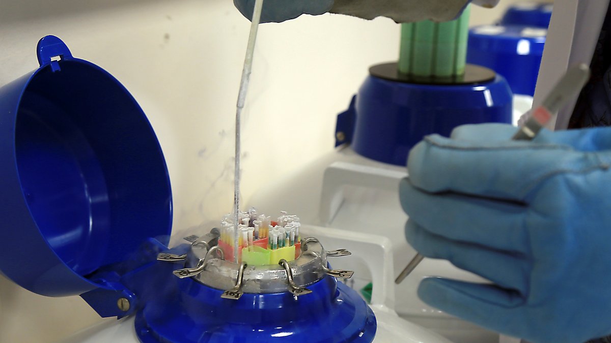 En la imagen de archivo, un banco de semen.