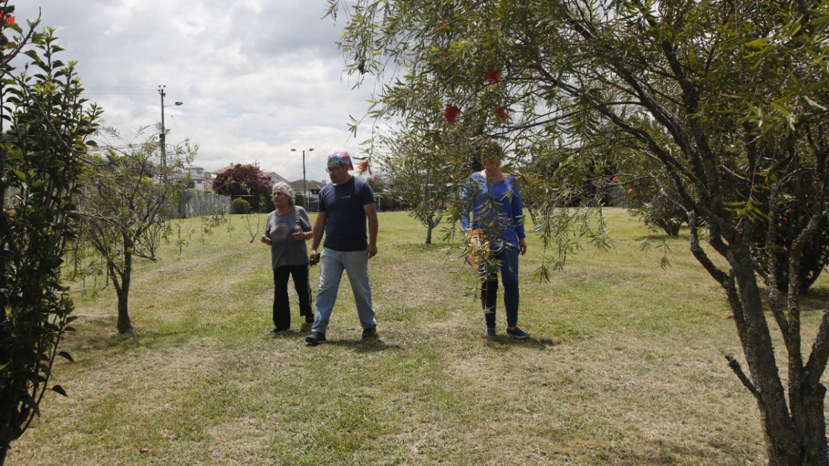 Caminata. El terreno tiene amplitud para realizar diferentes ejercicios