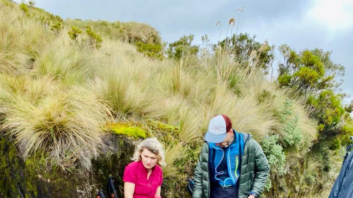 Revisión. Rescatistas brindan atención prehospitalaria a los turistas.