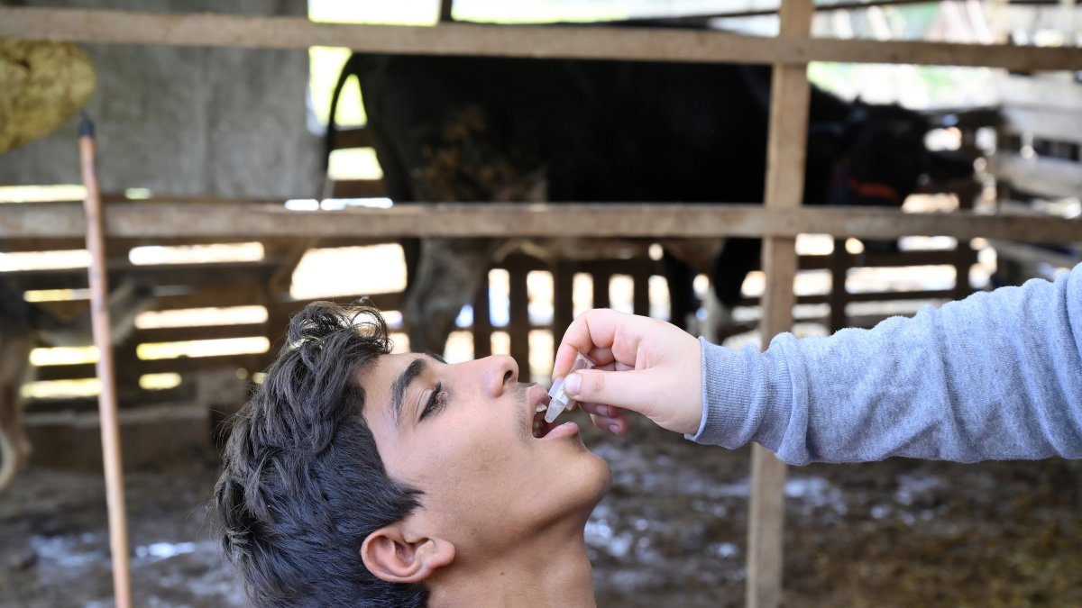 Un niño sirio recibe una vacuna oral contra el cólera durante una campaña de vacunación en la aldea de Bhanine, en el Líbano, el 12 de noviembre de 2022./EPA/WAEL HAMZEH