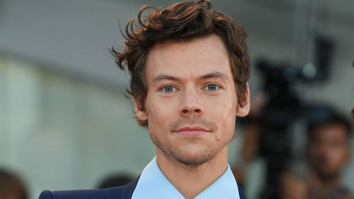 Harry Styles continuó con su presentación tras el incidente que le causó dolor.