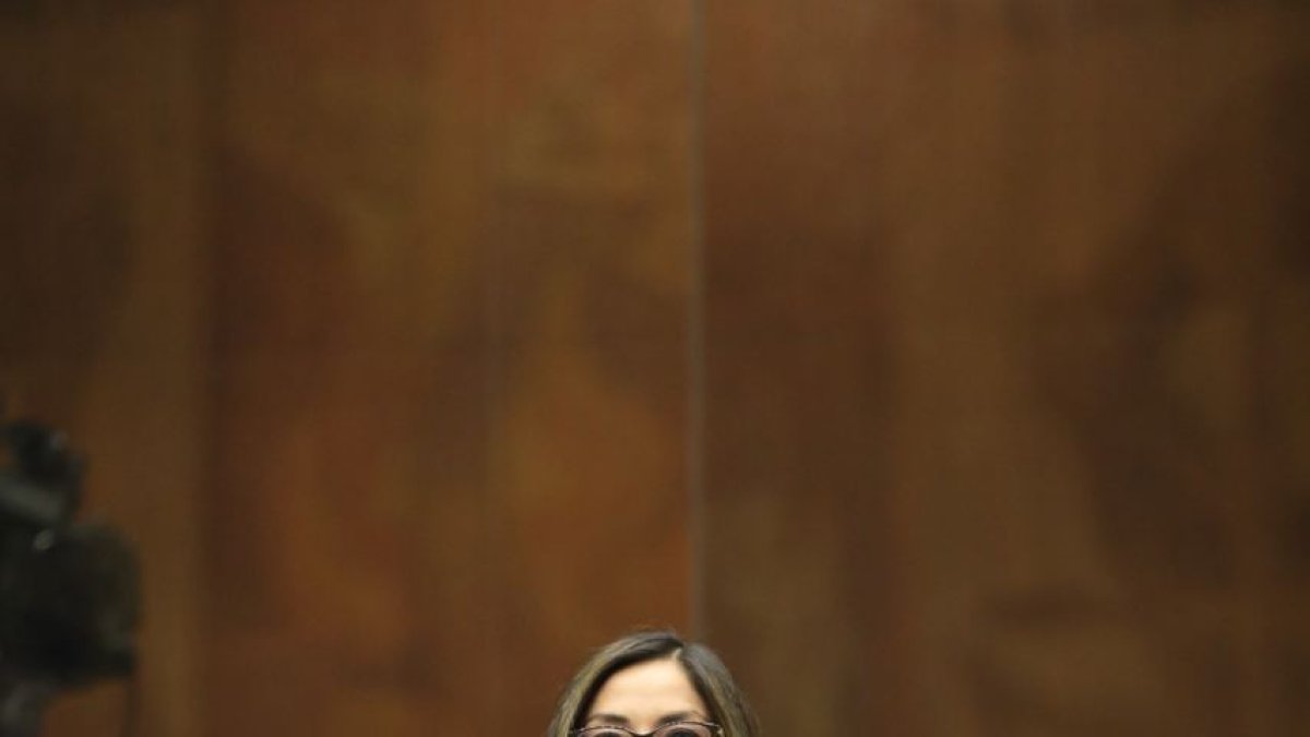 La presidenta de la comisión, Ana Herrera, presentó las conclusiones y recomendaciones del informe.