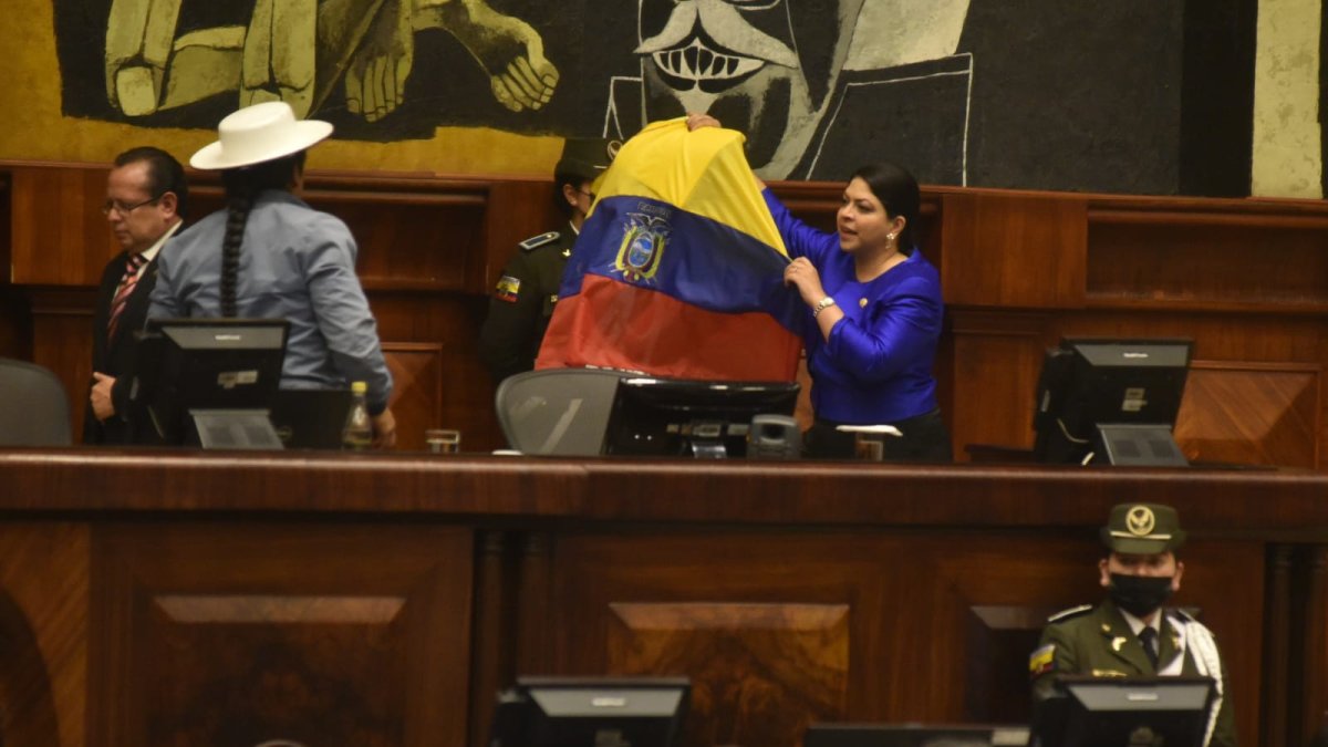 La ahora exconsejera Ibeth Estupiñán ingresó al hemiciclo de la Asamblea ondeando una bandera del país.