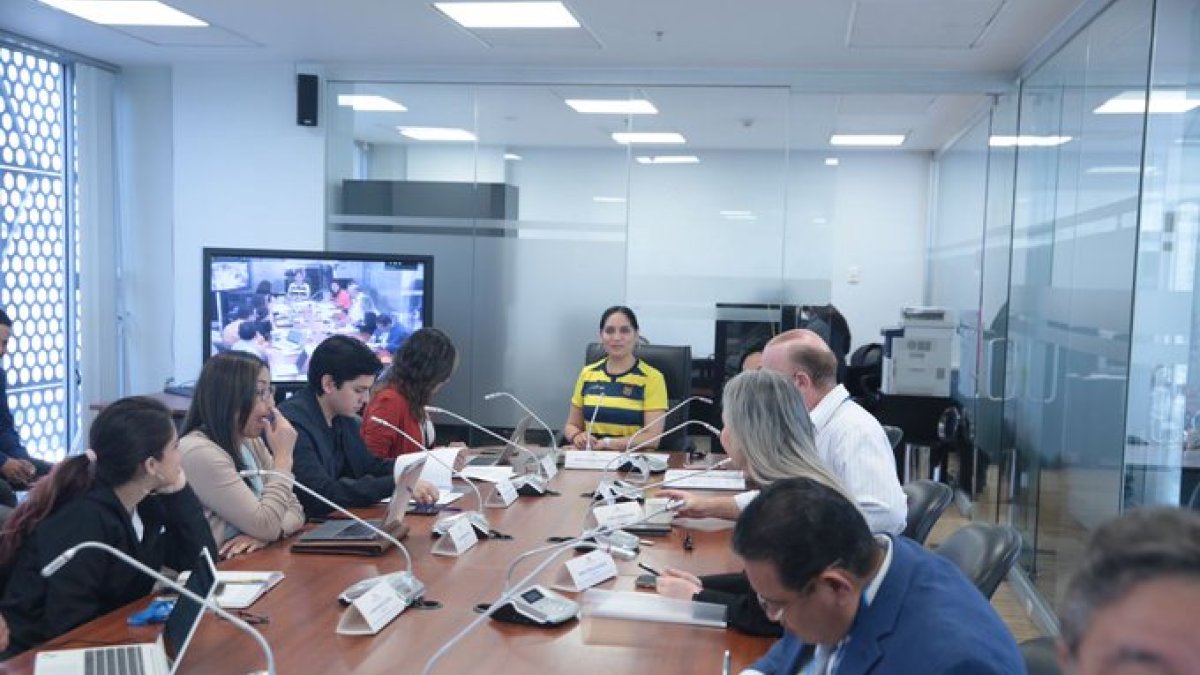 La Comisión de Régimen Económico sesionó la mañana de este 19 de noviembre de 2022.