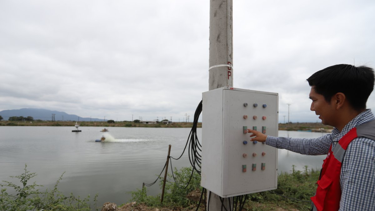 Exporcambrit fue una de las primeras firmas en migrar a la matriz energética. El sistema le permite ahorros del 50% en costos y un 40% de mejora de productividad