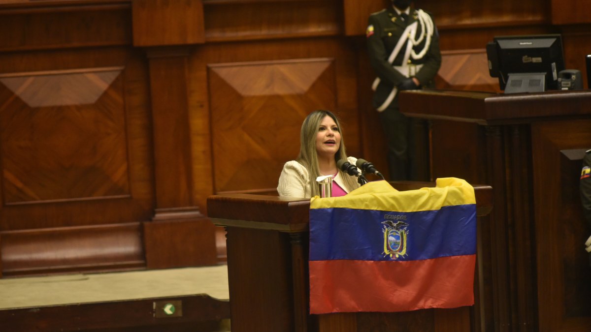 Consejera. María Fernanda Rivadeneira acomoda la bandera que llevó su compañera Ibeth Estupiñán. Durante dos horas ejerció su derecho a la defensa.