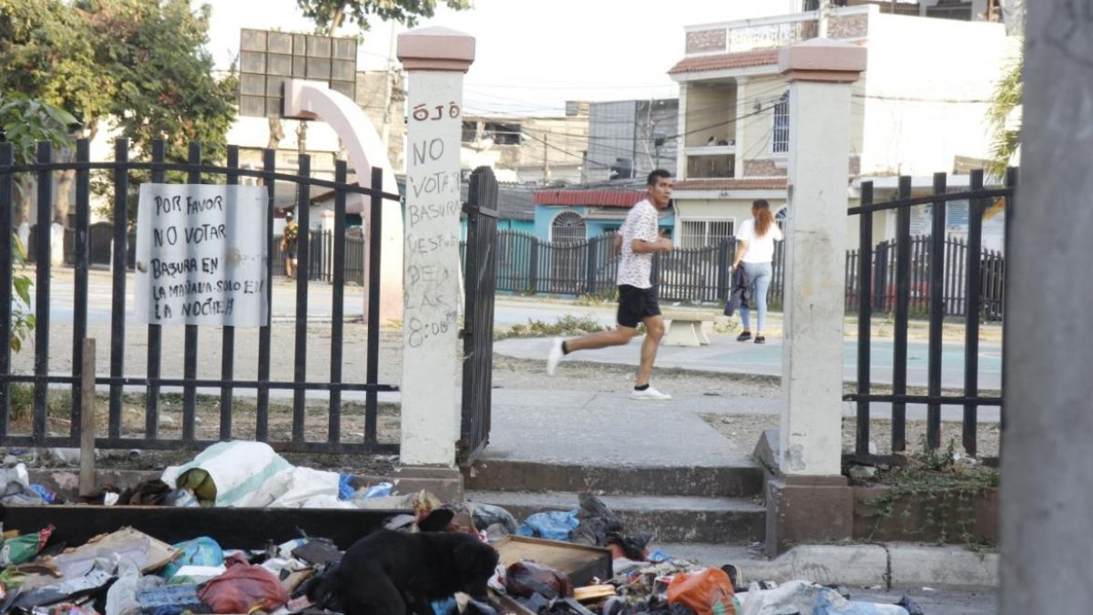 En el botadero de basura meten mano hasta los perros. Este se ubica frente a la cooperativa Assad Bucaram, en el otro extremo.