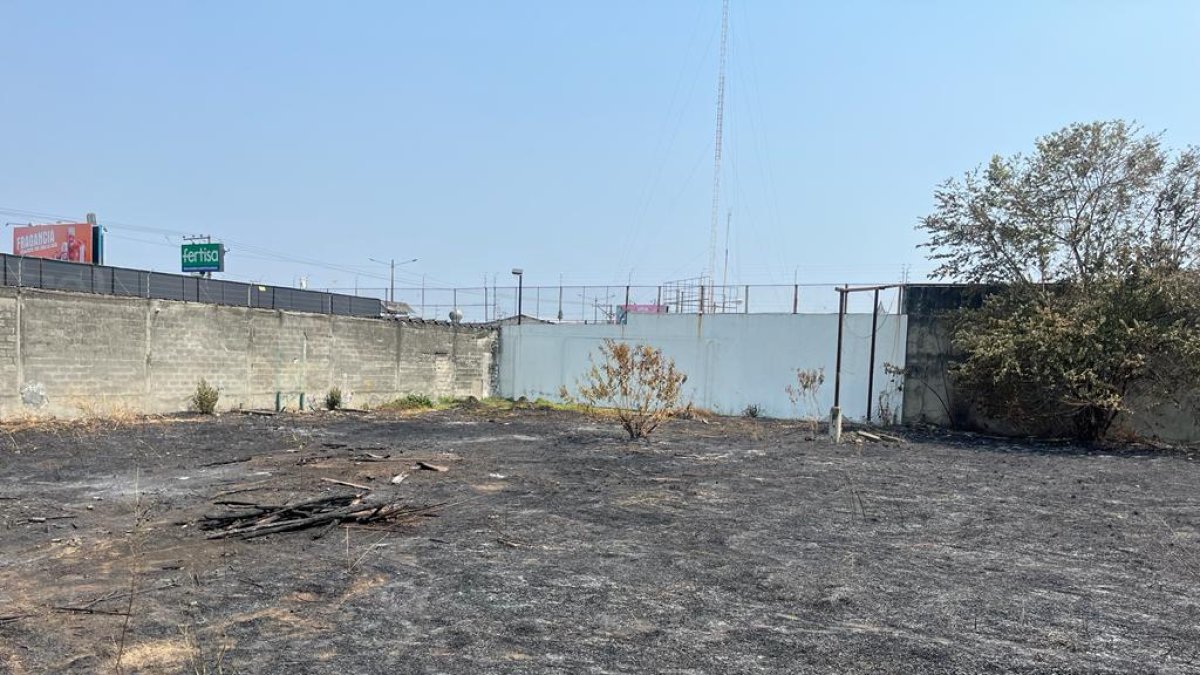 Control. Los bomberos calmaron las llamas en media hora.
