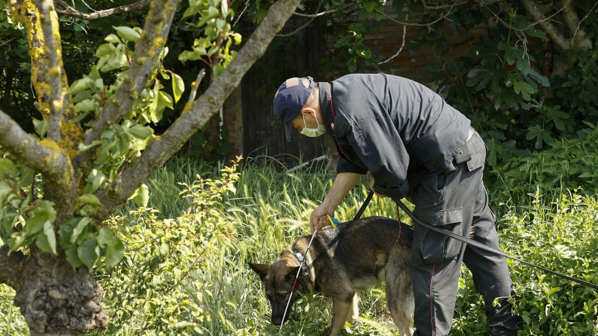 Un carabinieri con un perro rastreador busca cerca de la casa de los primos de Saman Abbas, en Novellara(Italia) el 2 de junio de 2021.