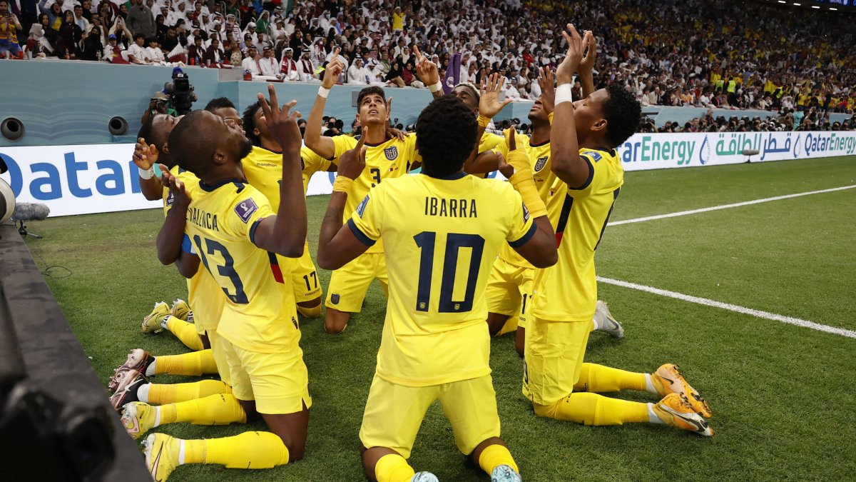 Los jugadores de la selección ecuatoriana festejan uno de los goles ante Qatar.