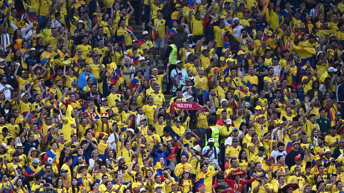Hinchas de Ecuador en el partido ante Qatar.