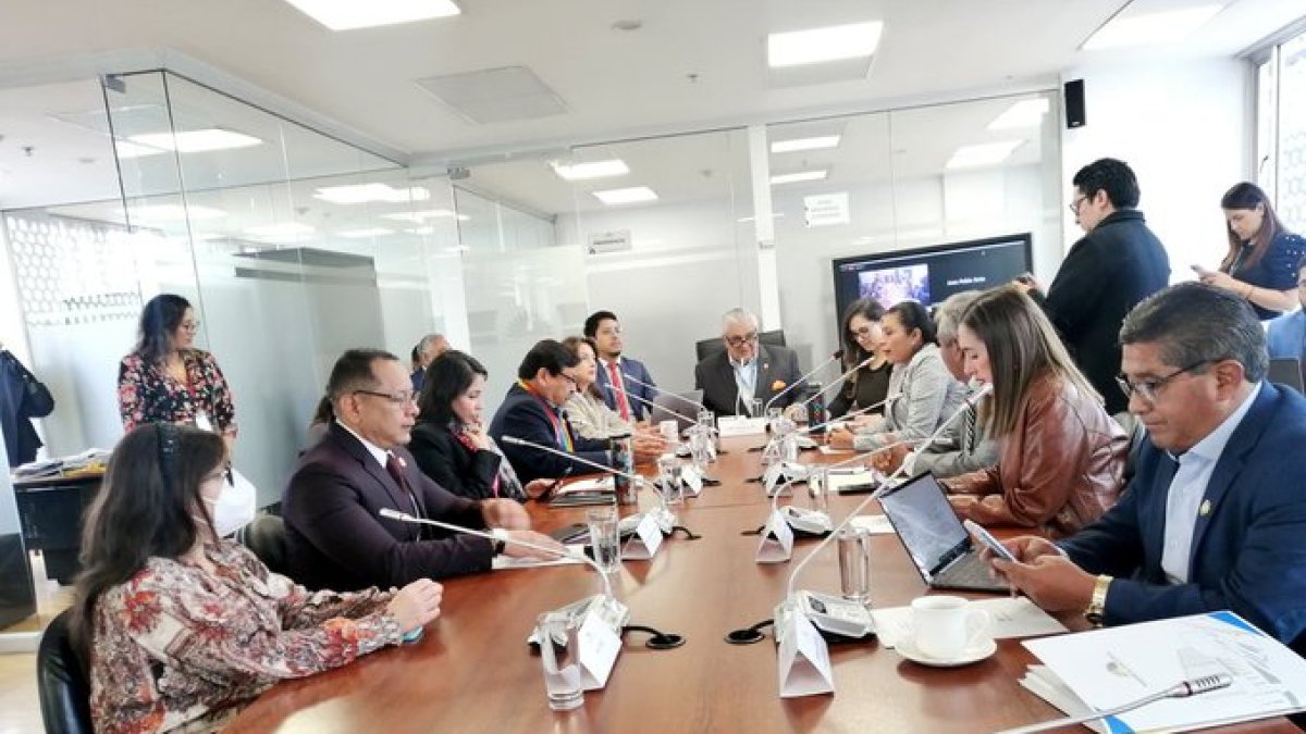 La Comisión del Derecho a la Salud y Deporte alista un proyecto de ley sobre las enfermedades catastróficas y raras