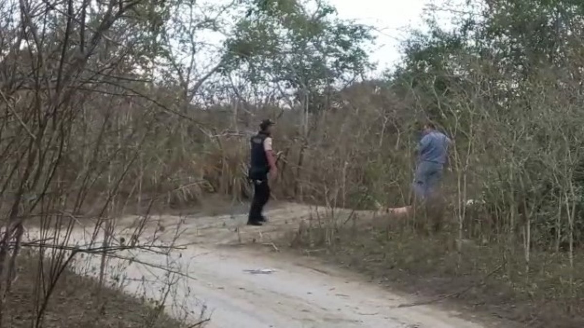Montecristi. Se cree que los llevaron con vida y ejecutados en el sitio.