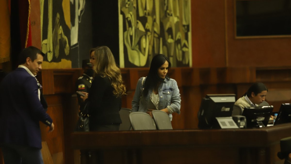 La sesión 822 del Pleno es el tercer intento por posesionar a los consejeros suplentes de Participación.