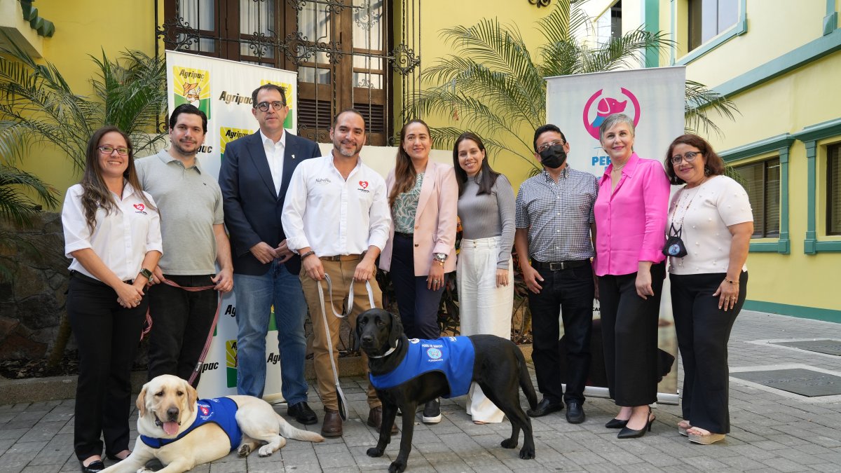 Guayaquil. Los dos perros labradores, tras terminar el entrenamiento de dos años.