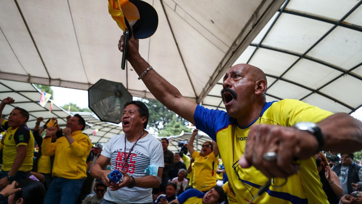 Ecuatorianos celebran una anotación de Ecuador contra Países Bajos, durante un partido del grupo A del mundial Qatar 2002, hoy en Quito (Ecuador).