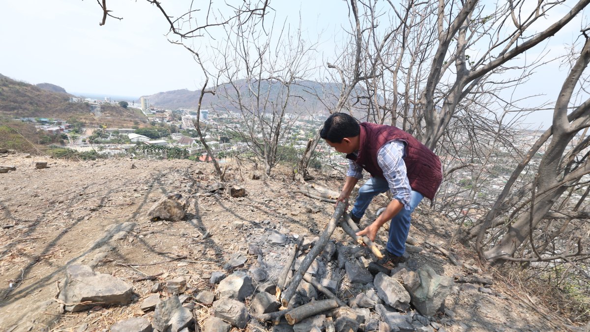 Con frecuencia, ambientalistas visitan los cerros protectores para destruir los fogones que allí se levantan.