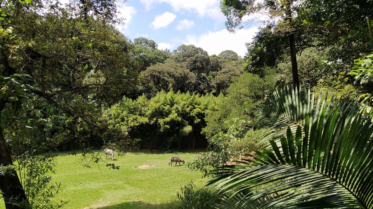 Imagen de las instalaciones del Parque Zoológico de São Paulo. Cedida por la Universidad de Málaga.