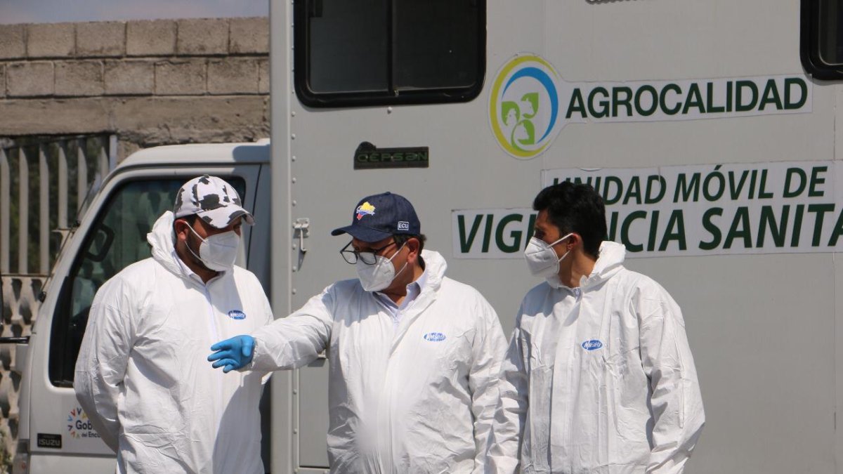 Acción.- Técnicos de Agrocalidad mantienen la vigilancia en Ecuador por los brotes de influencia aviar.