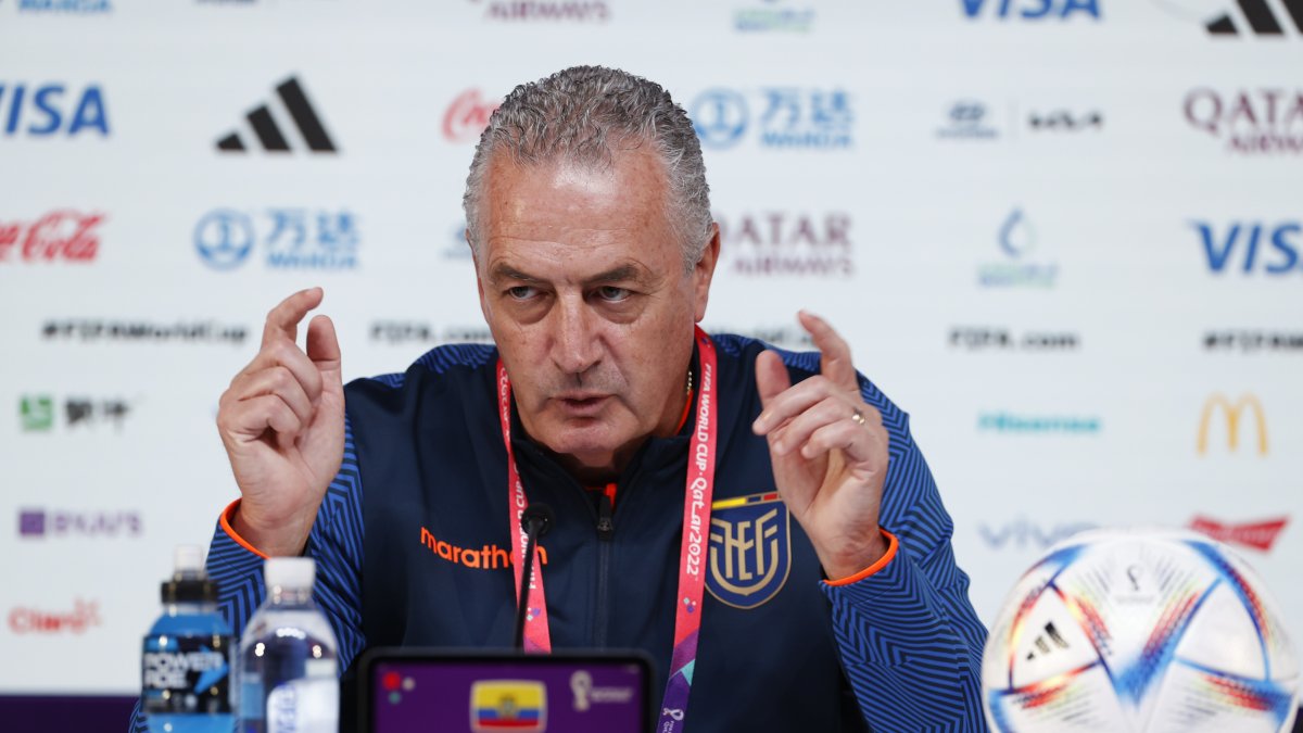 Gustavo Alfaro deberá decidir si quedarse o no en la Tricolor para el próximo proceso.