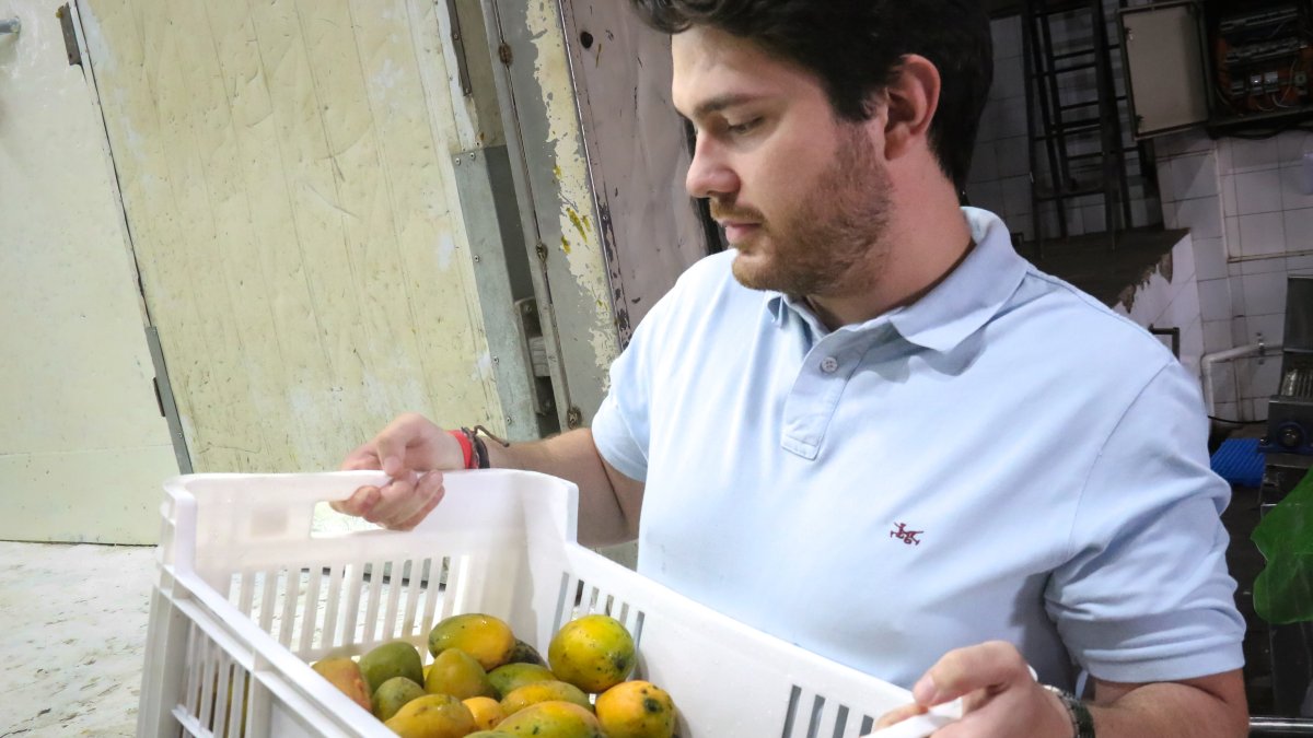 El cofundador de Remango Gonzalo Martínez observa mangos observa mangos el 23 de noviembre de 2022, en Asunción (Paraguay). EFE/
