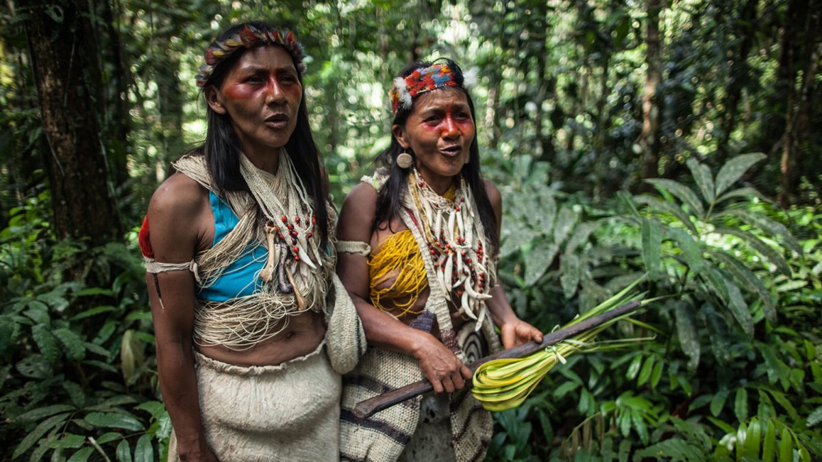 Mujeres Waorani cantan en la selva, su territorio ancestral en la región de Pastaza, en la Amazonía ecuatoriana