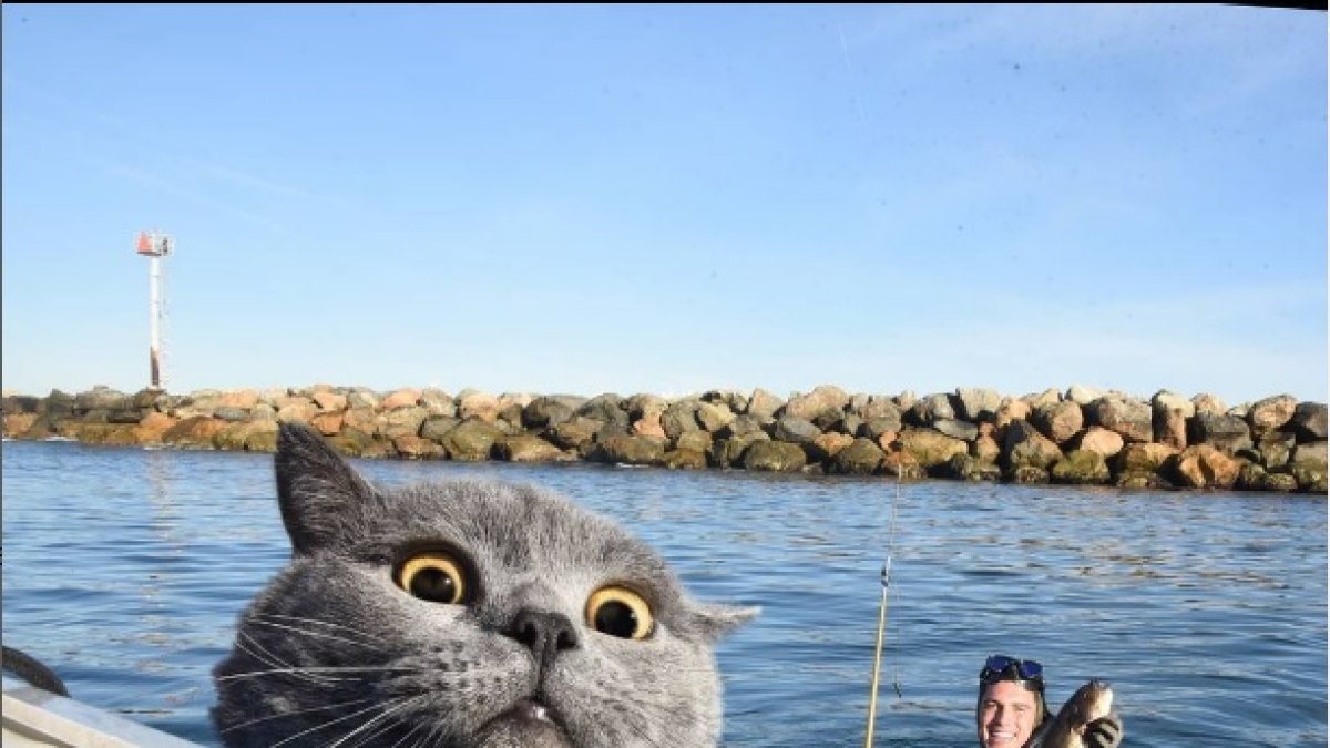 Destacado. Su verdadero nombre es Prince Michael.