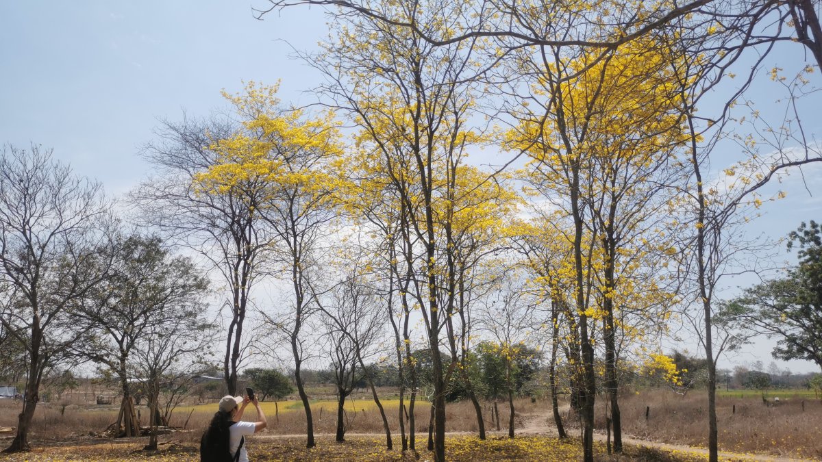 Las especies. Cada semana decenas de familias guayaquileñas y de otros cantones llegan a pasar el día.