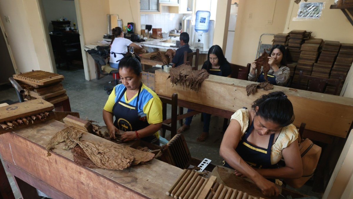 Tarea. En esta empresa familiar, la mayoría de la plantilla son mujeres que se encargan de enrollar las hojas.