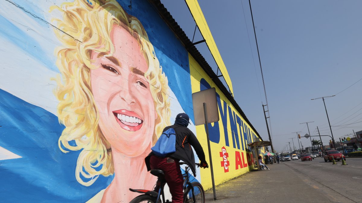 Escenario. En una amplia pared de la avenida Rodríguez Bonín, casi al conectar a la avenida Del Bombero está la imagen de la funcionaria con la de la prefecta.