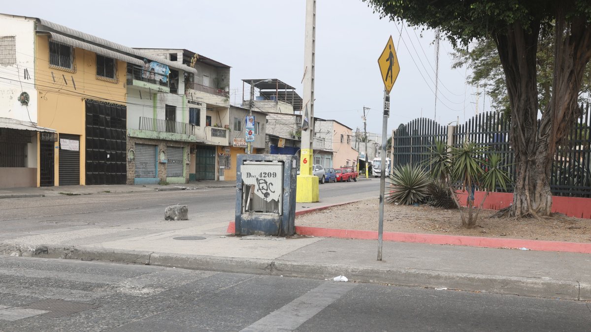 Cajetilla de cableado telefónico en mal estado en Guasmo sur.